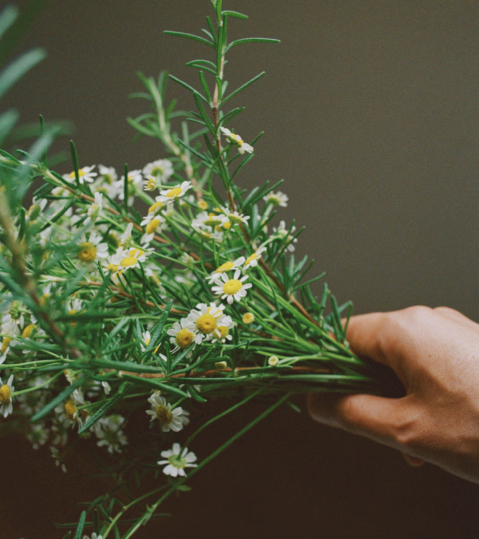 NEW 프레그런스 식물의 힘을 살려 자연스럽고 부드러운 향의 무인양품 프레그런스 오일. 기분이나 장소에 어울리는 향을 선택해 보세요.